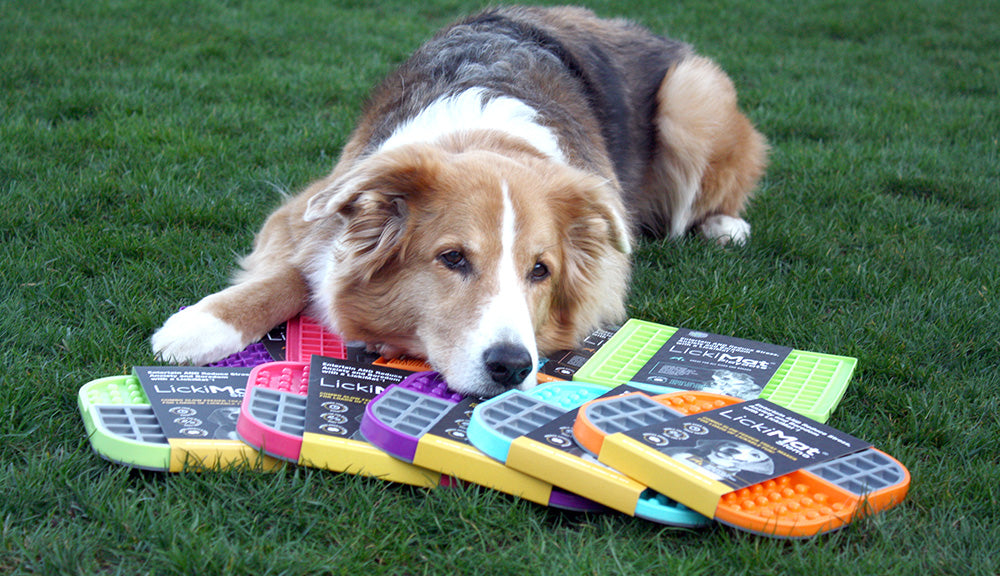 Schleckmatten Food Enrichment Beschäftigung Hund