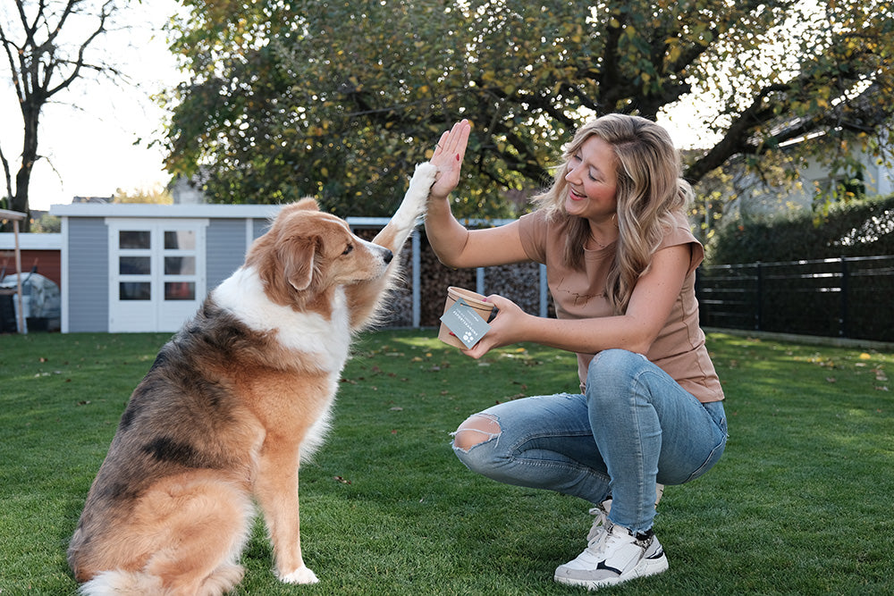 Online Hundeernährungsberatung