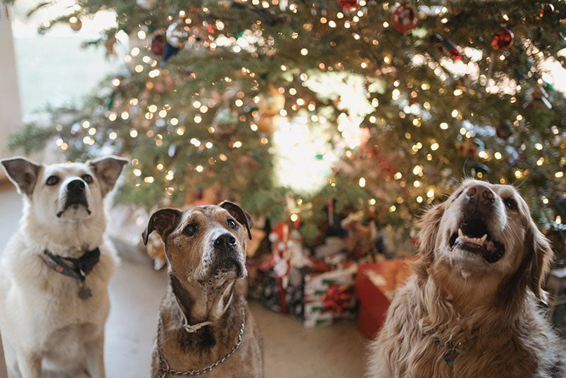 Weihnachten