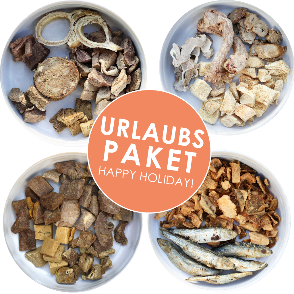 Sparpaket | Happy Holiday Groß