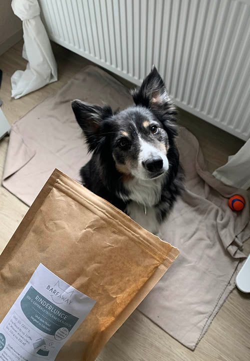 Rinderlunge | Innereien | BARF gefriergetrocknet