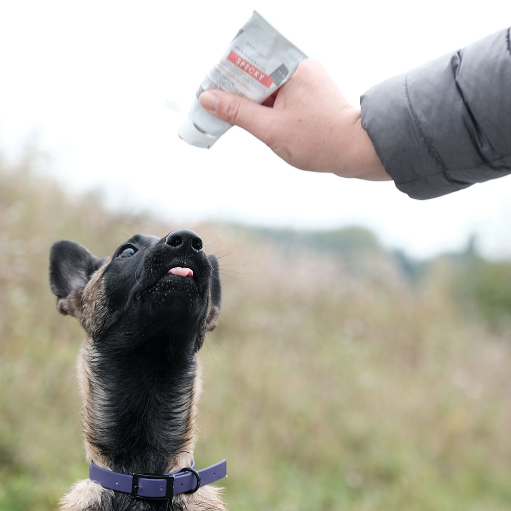 Sparpaket Schlecktuben | für Hunde