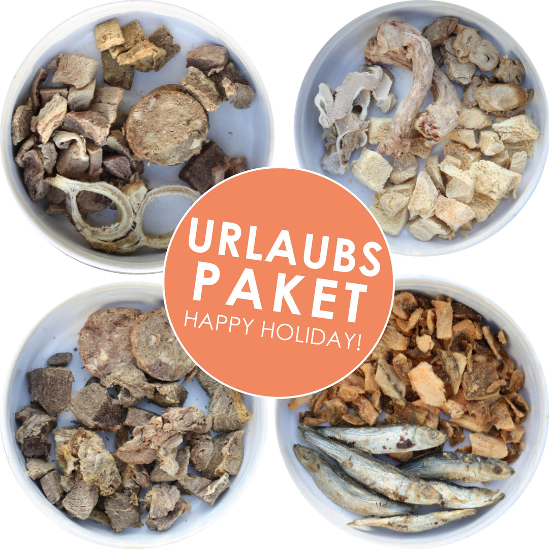 Sparpaket | Happy Holiday Groß
