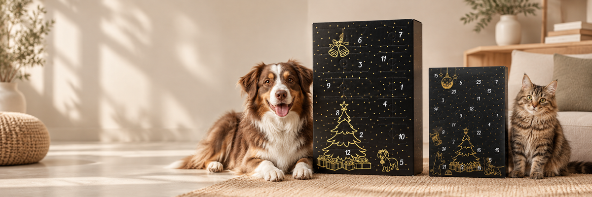 Adventskalender