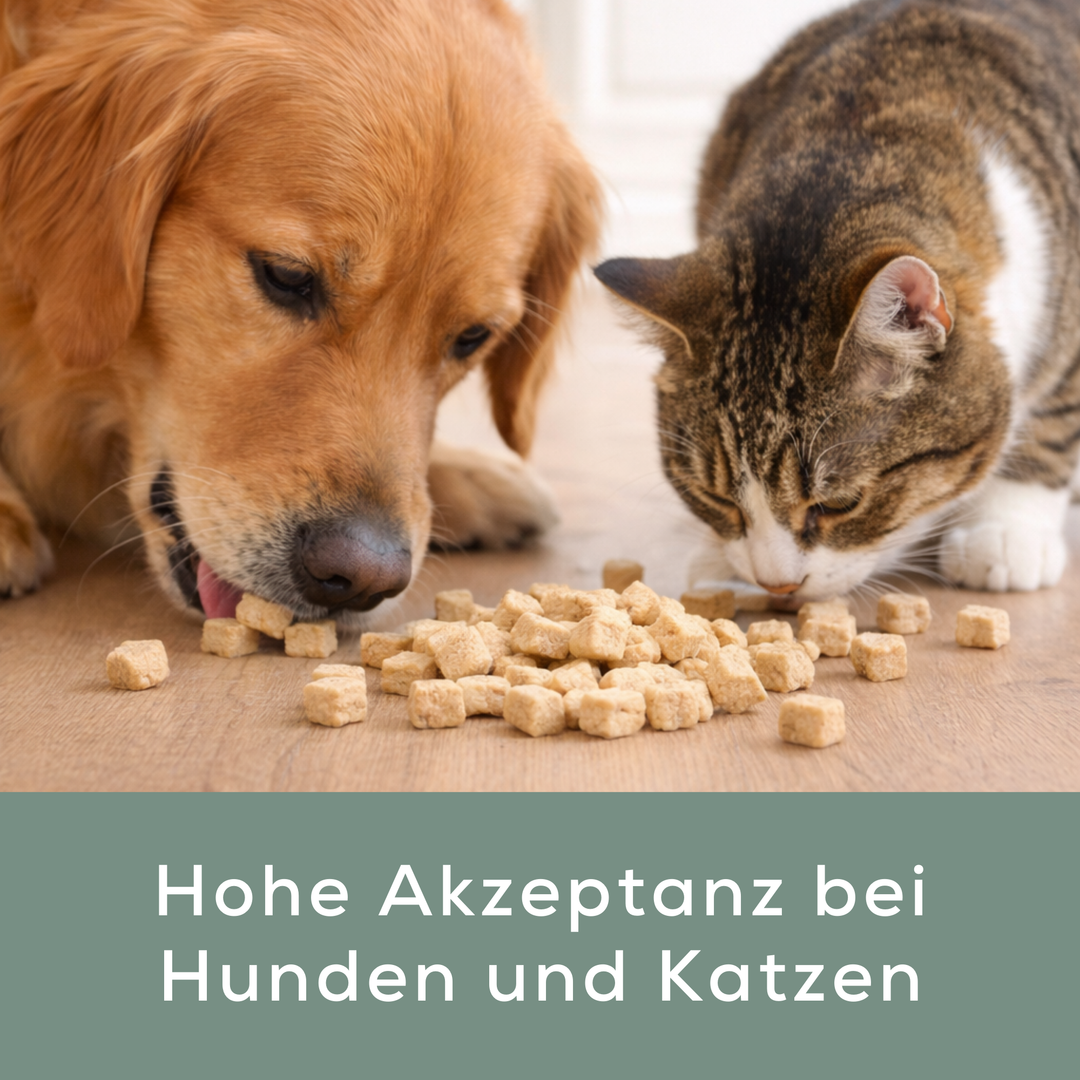 Hühnerherzen Minis | gefriergetrocknet