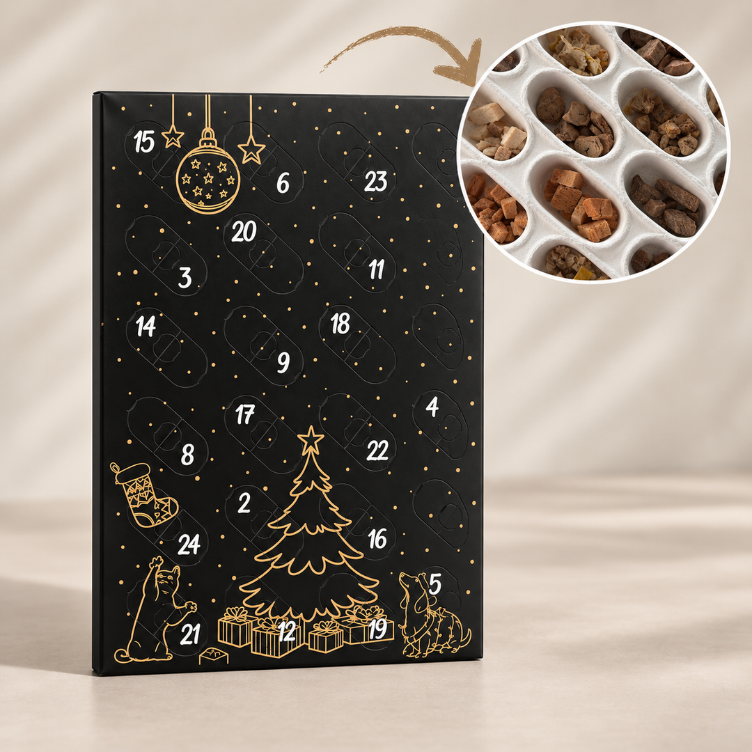 Adventskalender für Katzen und Hunde 2026