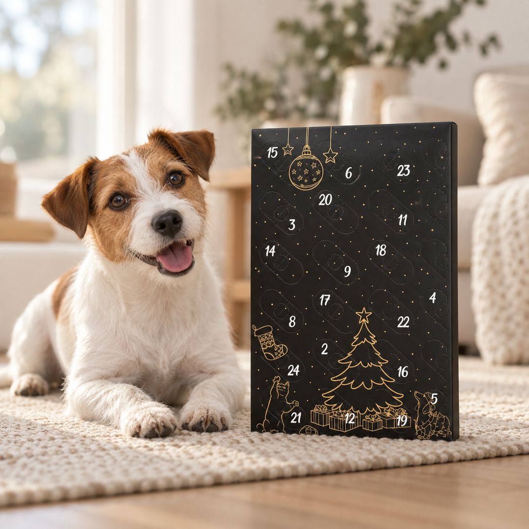 Adventskalender für Katzen und Hunde 2026