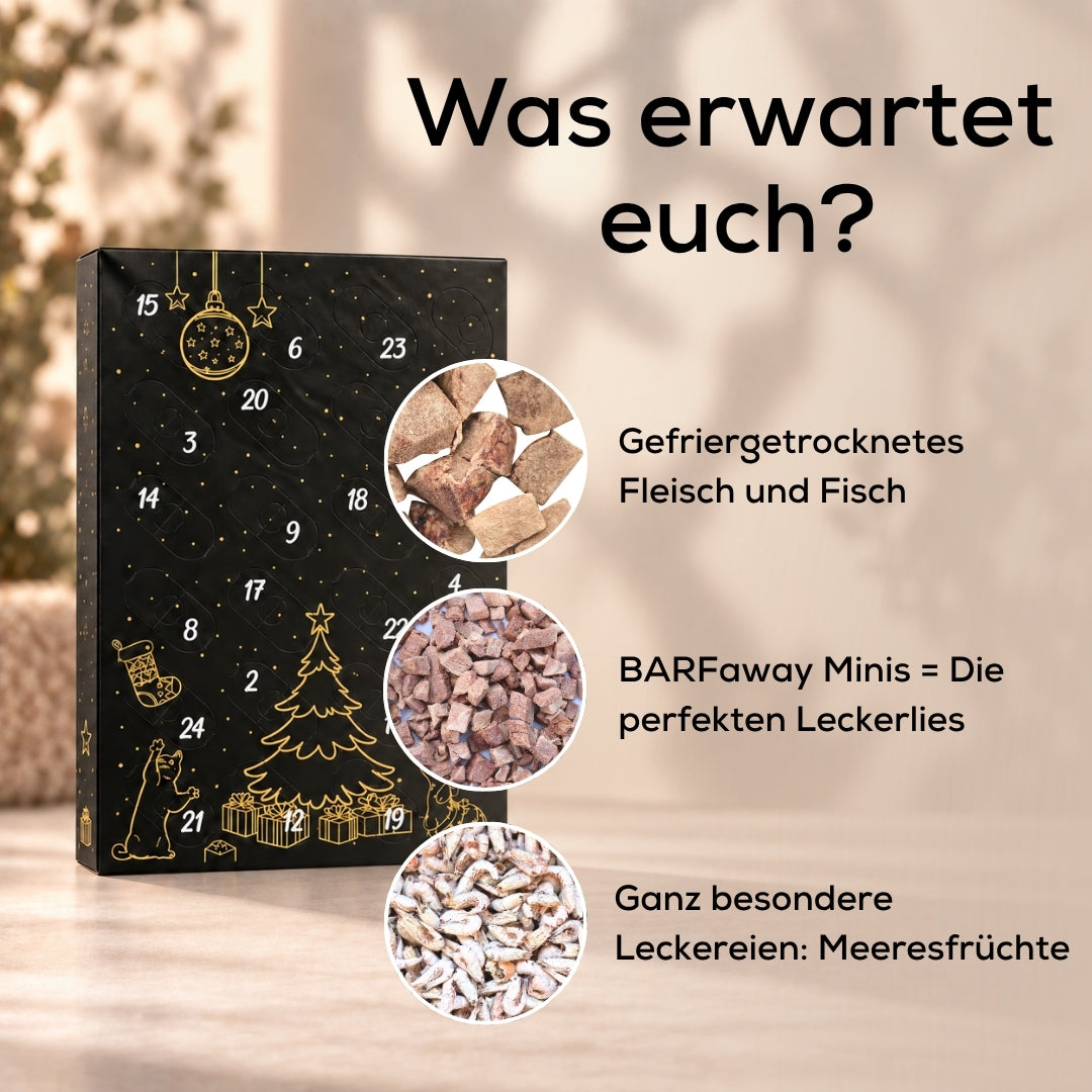 Adventskalender für Katzen und Hunde 2026