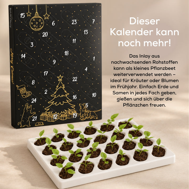 Adventskalender für Katzen und Hunde 2026