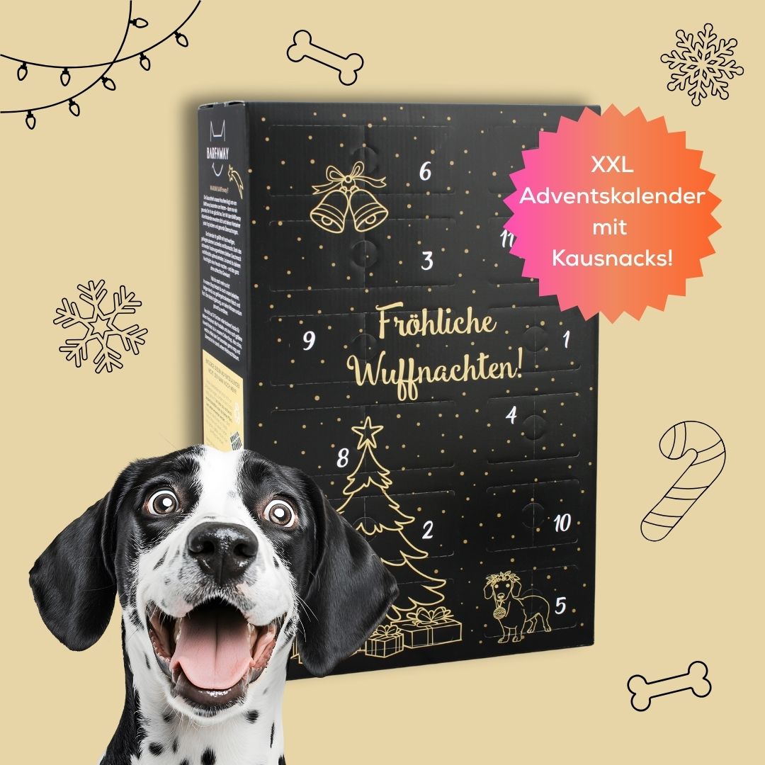 Adventskalender