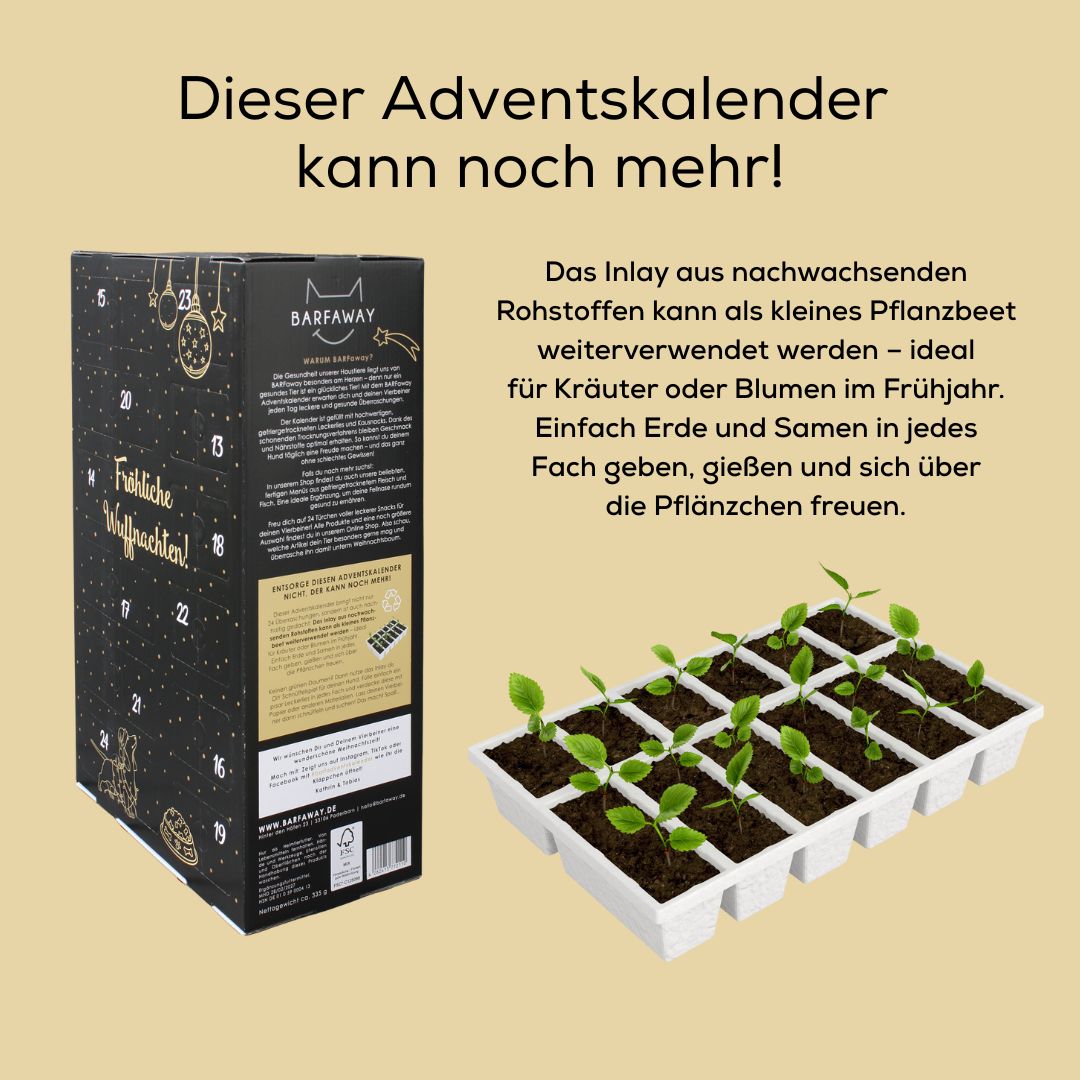 XXL Barf Adventskalender für Hunde 2025 - Vorbestellung