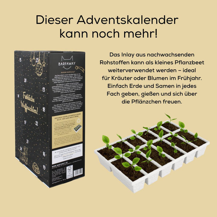 XXL Barf Adventskalender für Hunde 2025 - Vorbestellung