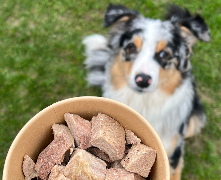 Sparpaket | Top Seller Hunde