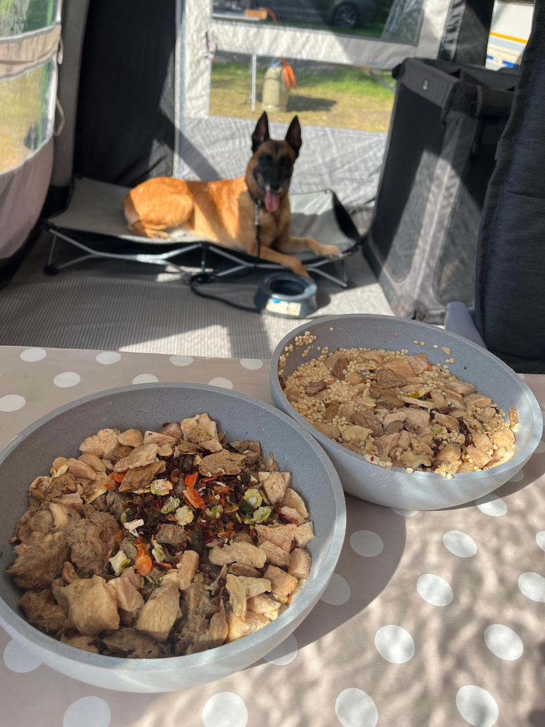 Fertige BARF-Menüs für den Urlaub – kleine Box