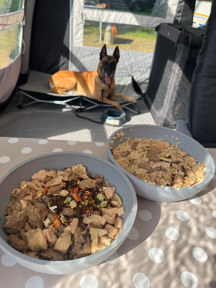 Fertige BARF-Menüs für den Urlaub – kleine Box