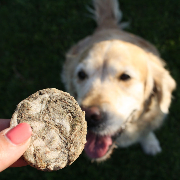 Blättermagen Taler | gefriergetrocknet