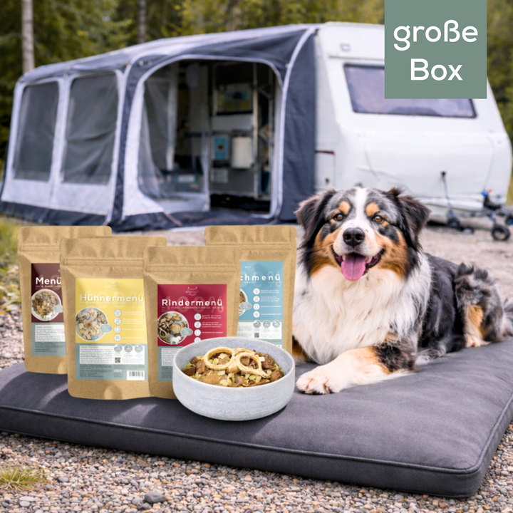 Fertige BARF-Menüs für unterwegs – große Box