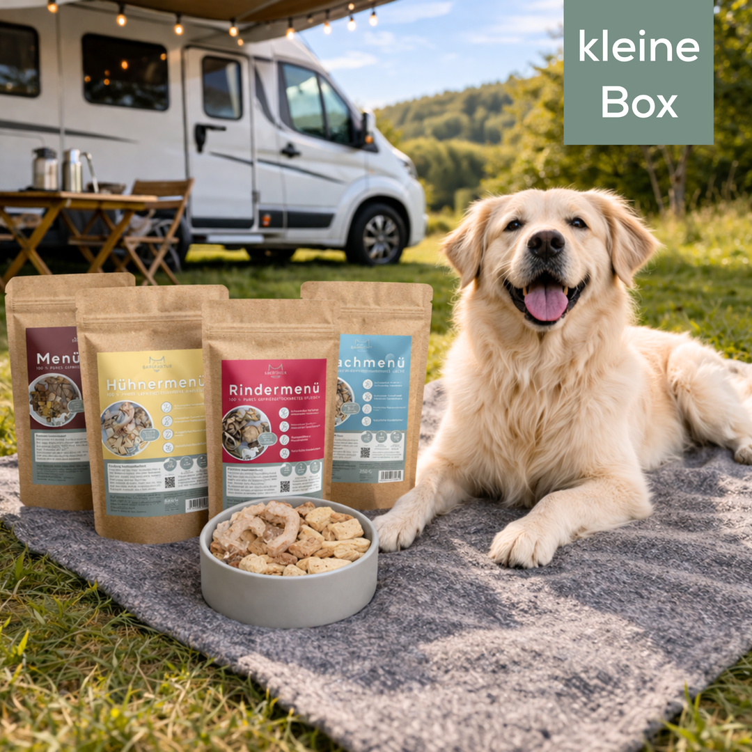 Fertige BARF-Menüs für den Urlaub – kleine Box