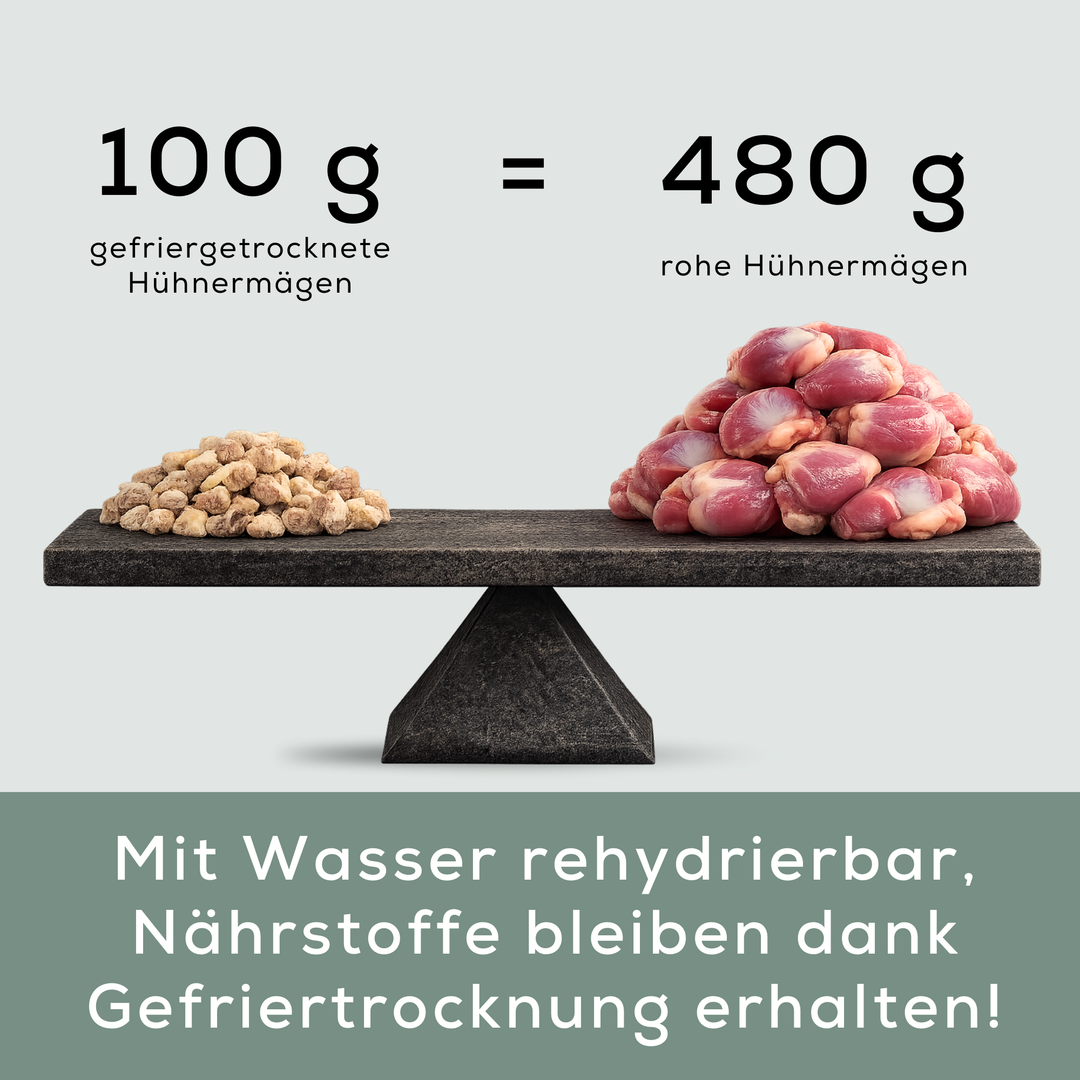 Hühnermägen Minis | gefriergetrocknet