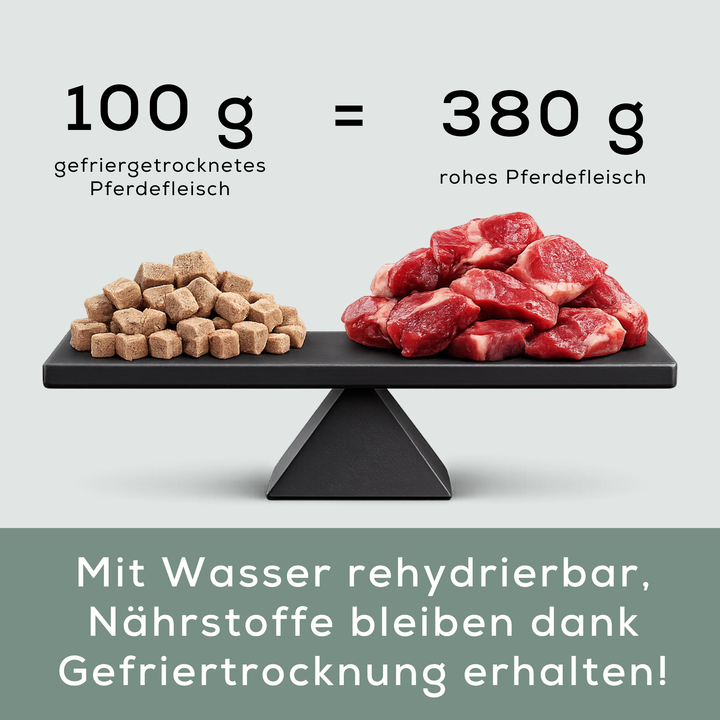 Pferdefleisch Minis | gefriergetrocknet