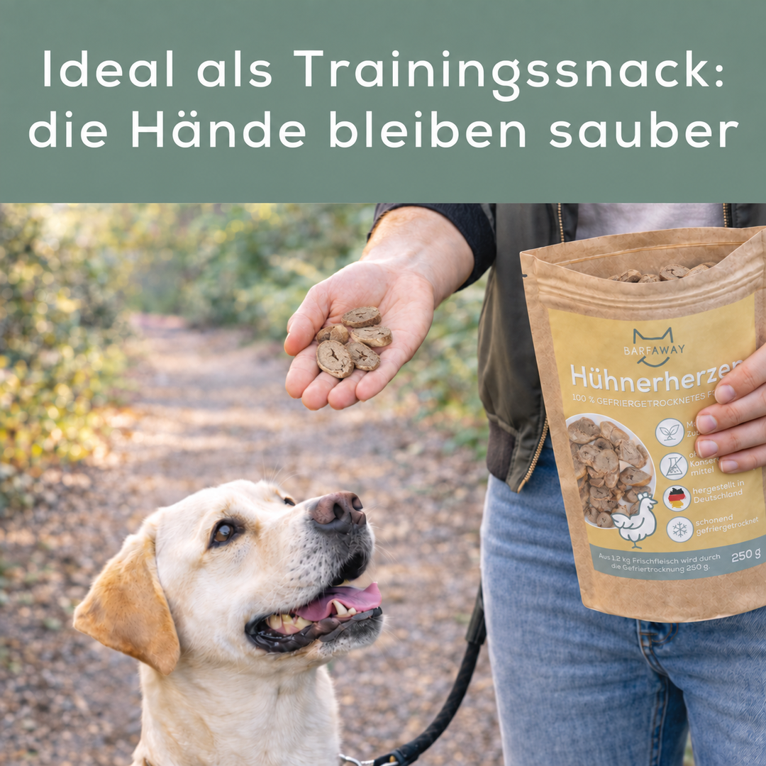Hühnerherzen | Innereien | gefriergetrocknet