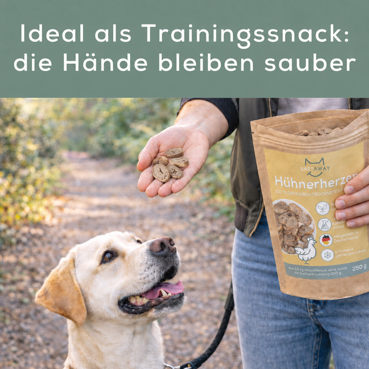 Hühnerherzen | Innereien | gefriergetrocknet