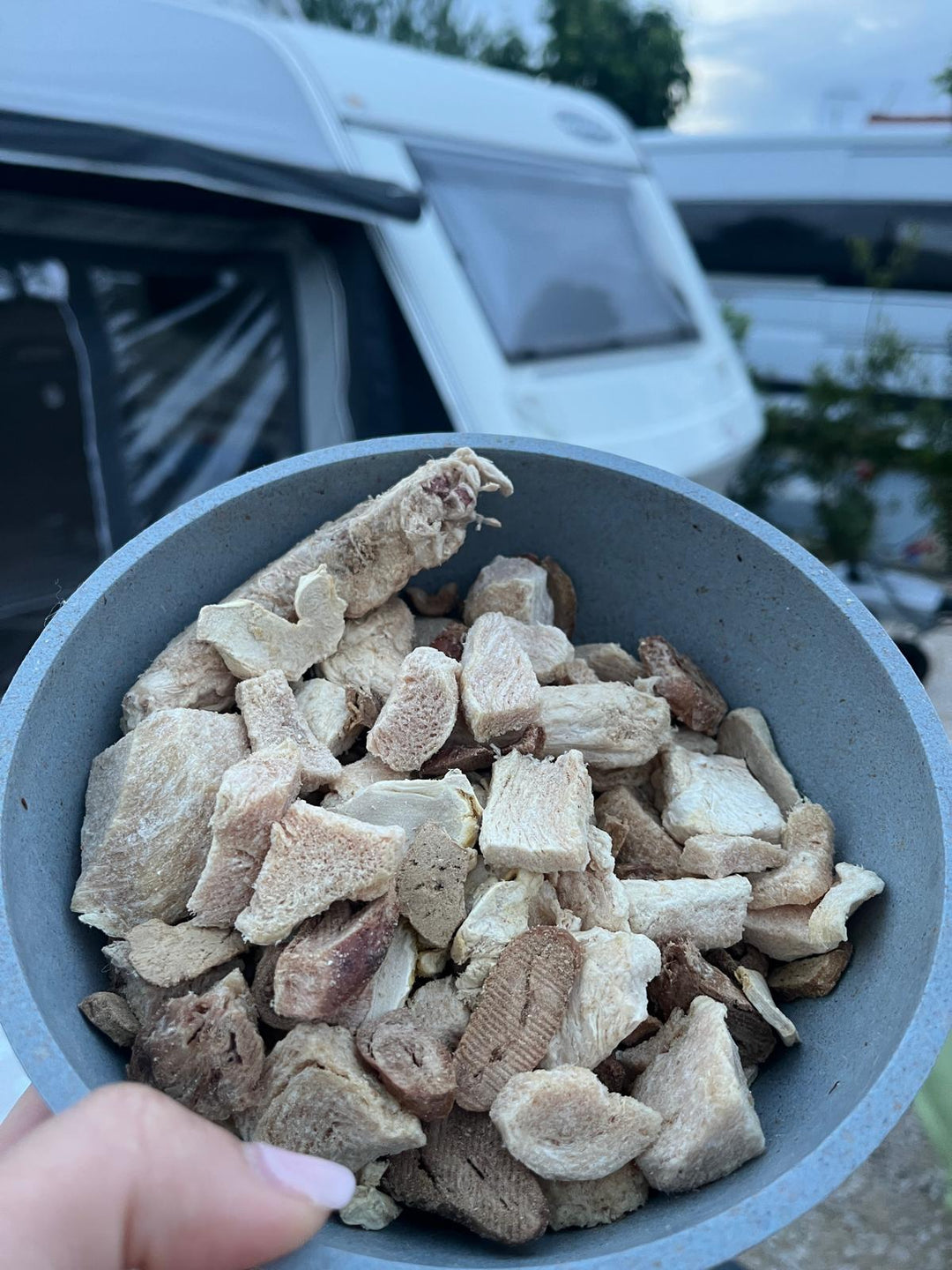 Fertige BARF-Menüs für den Urlaub – kleine Box