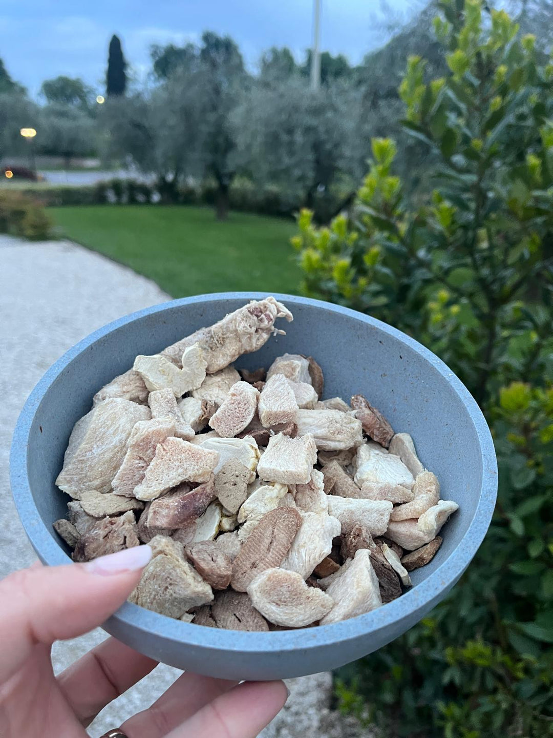 Fertige BARF-Menüs für unterwegs – große Box