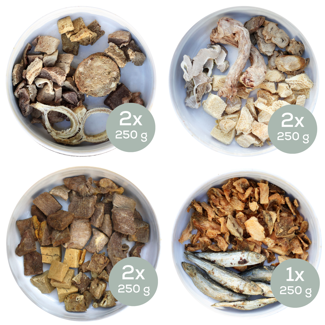 Fertige BARF-Menüs für den Urlaub – kleine Box