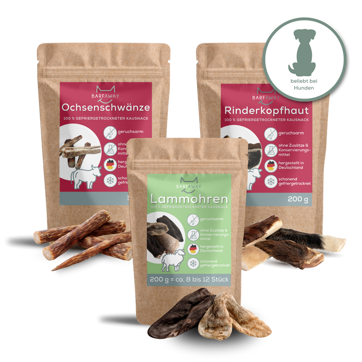 Sparpaket | Kauspaß große Hunde