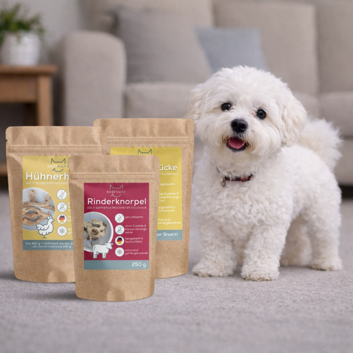 Kausnacks für kleine Hunde