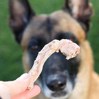 Sparpaket | Kauspaß für kleine Hunde