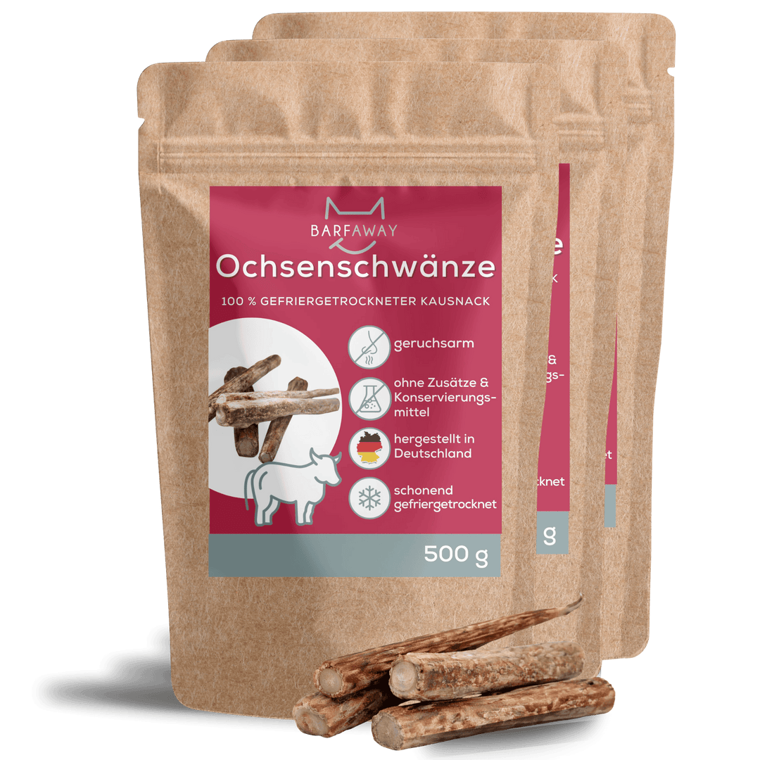 Ochsenschwänze | gefriergetrocknet | Kausnack
