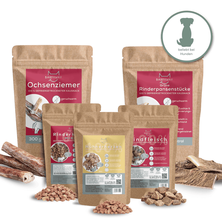 Sparpaket | Top Seller Hunde