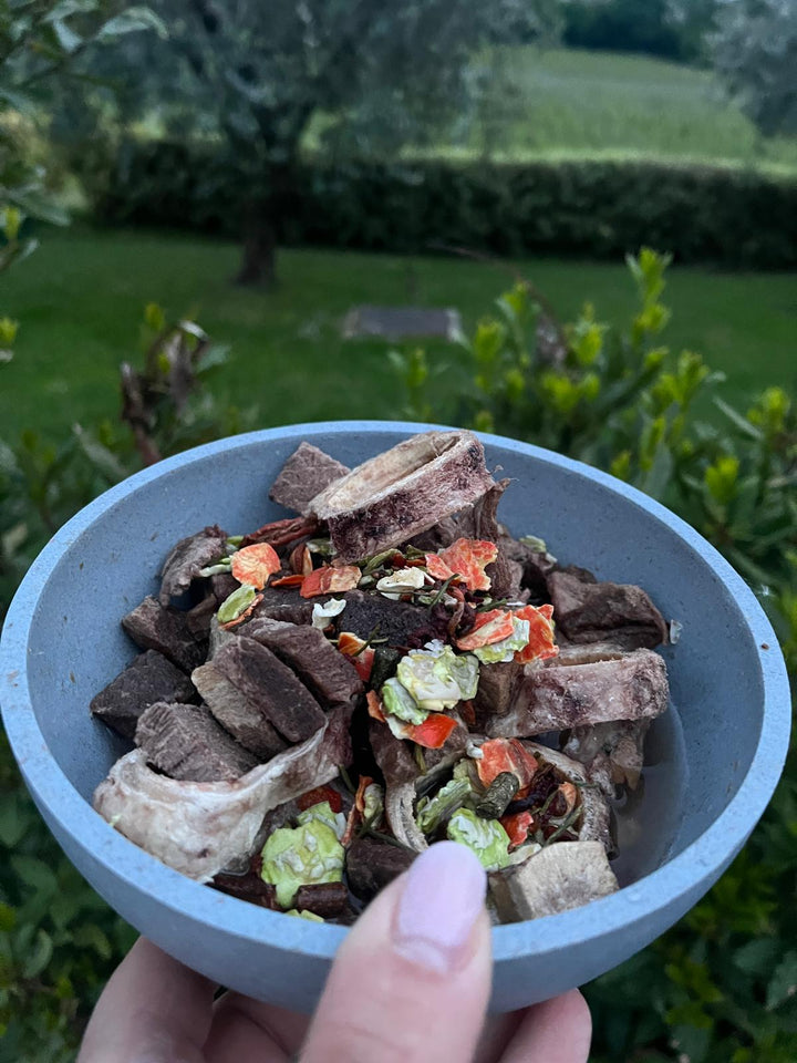 Fertige BARF-Menüs für den Urlaub – kleine Box