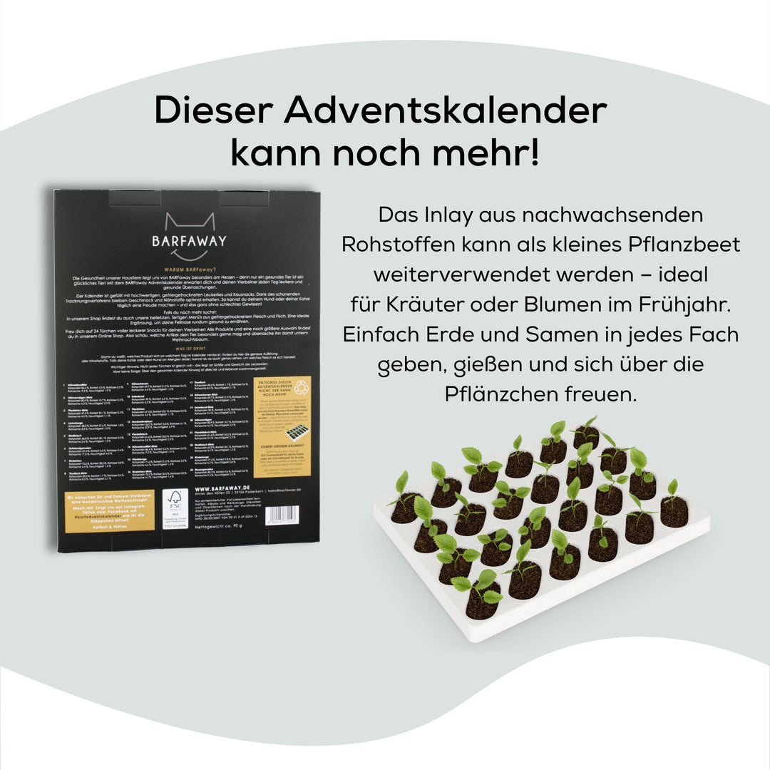 Adventskalender für Katzen und Hunde 2025