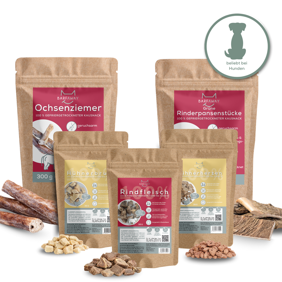 Sparpaket | Top Seller Hunde