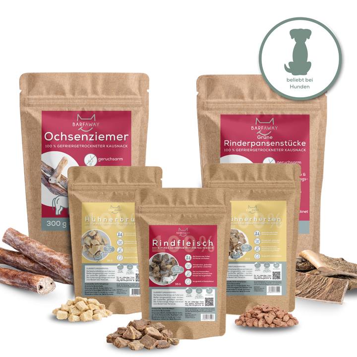 Sparpaket | Top Seller Hunde