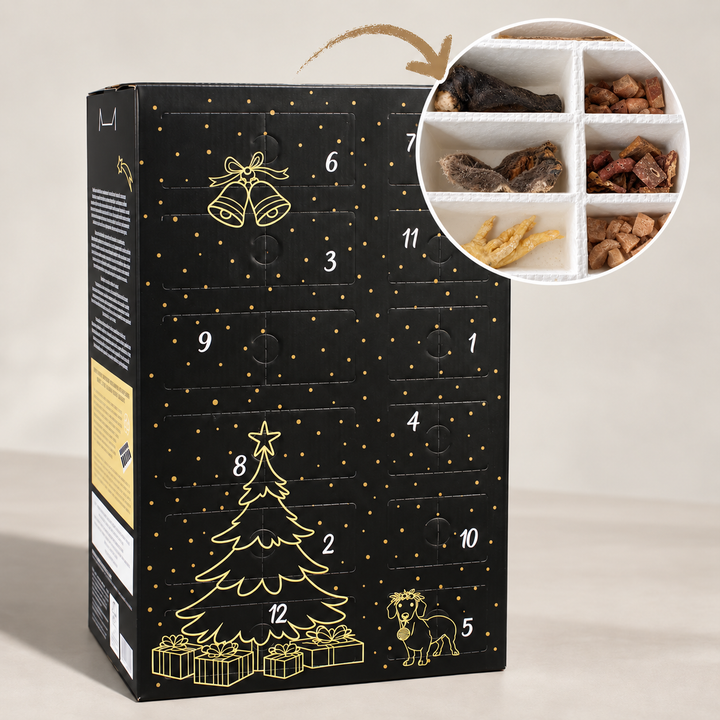 XXL Adventskalender für Hunde 2026