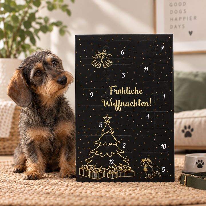 XXL Adventskalender für Hunde 2026