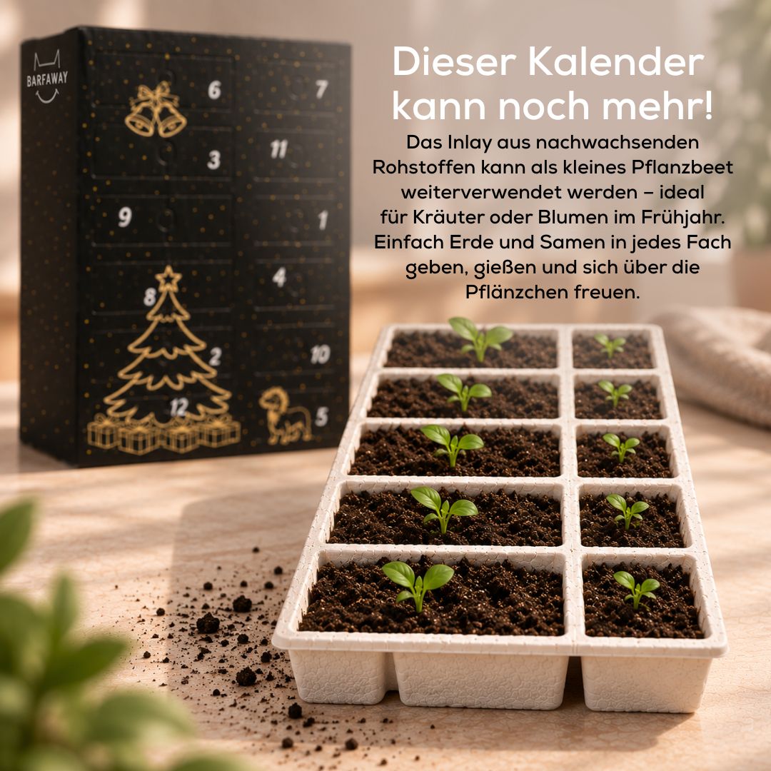 XXL Adventskalender für Hunde 2026