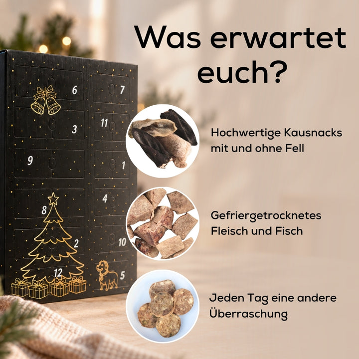 XXL Adventskalender für Hunde 2026