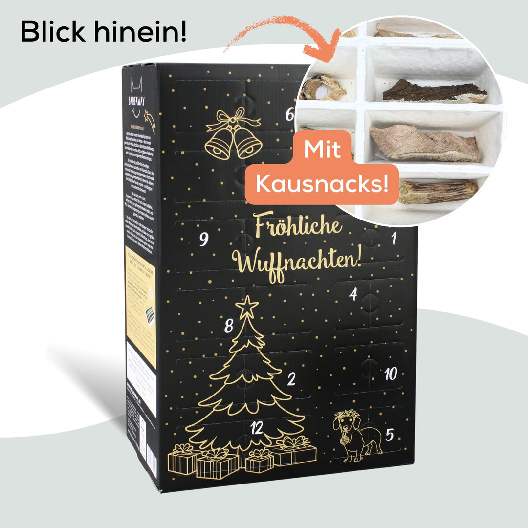 XXL Adventskalender für Hunde 2025