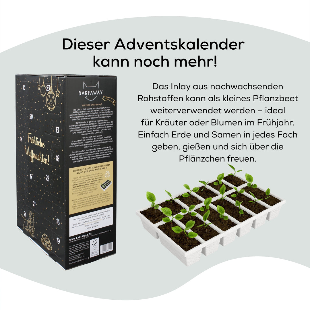 XXL Adventskalender für Hunde 2025