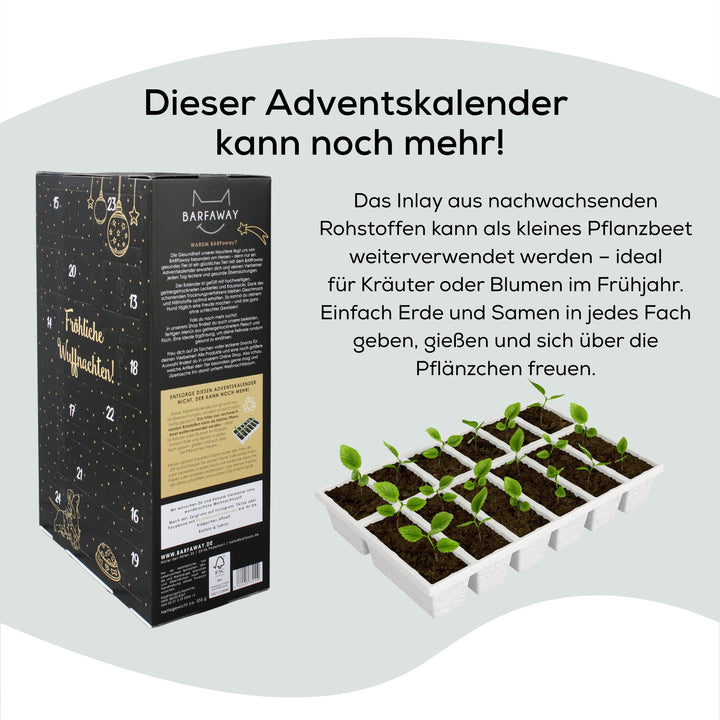 XXL Adventskalender für Hunde 2025