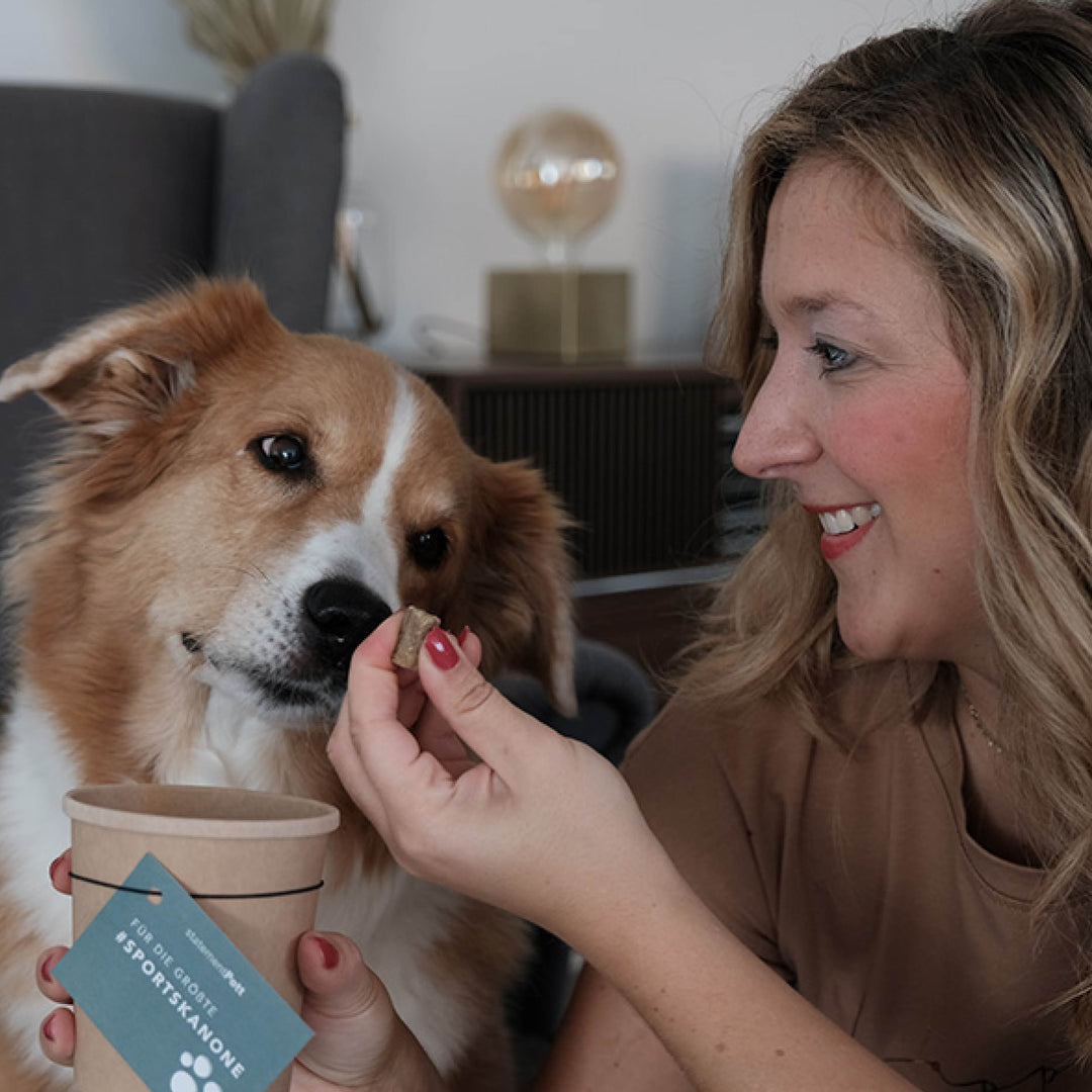 Ernährungsberatung für Hunde | Barf Plan | Hund mit Allergien oder Erkrankungen