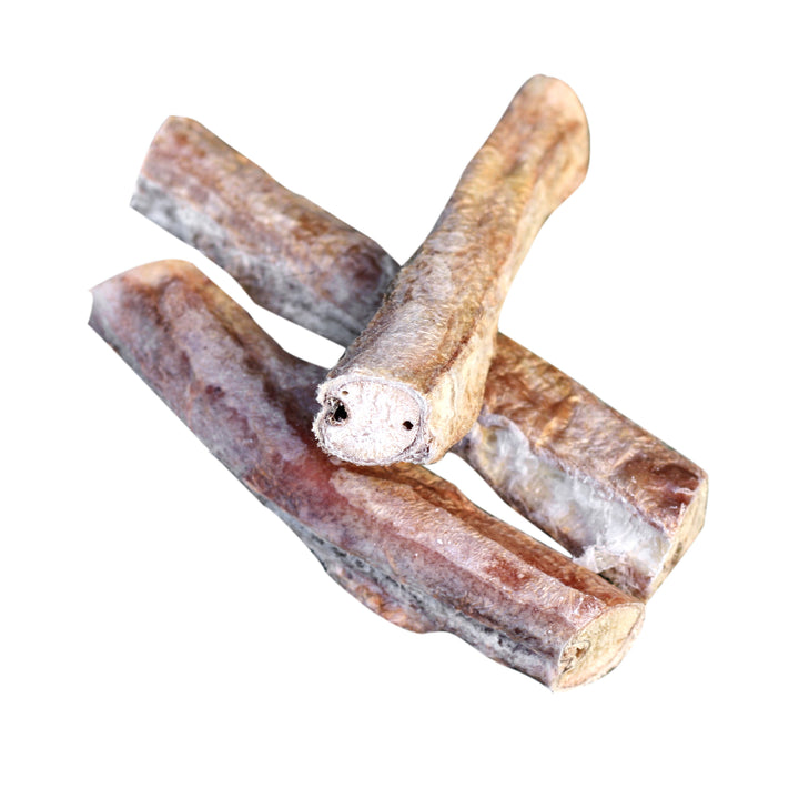 Sparpaket | Top Seller Hunde