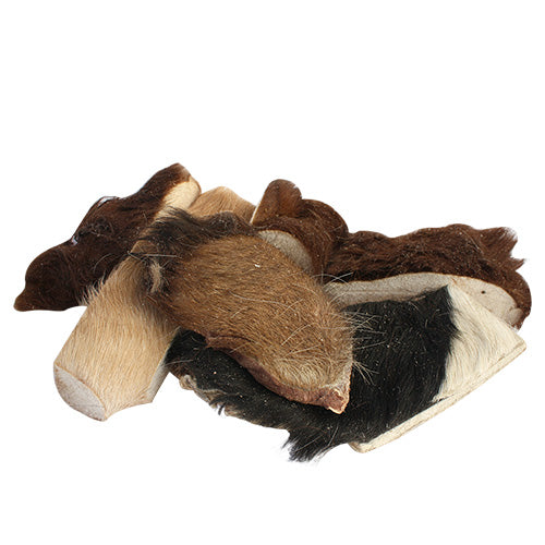 Rinderkopfhaut | gefriergetrocknet | Kausnack